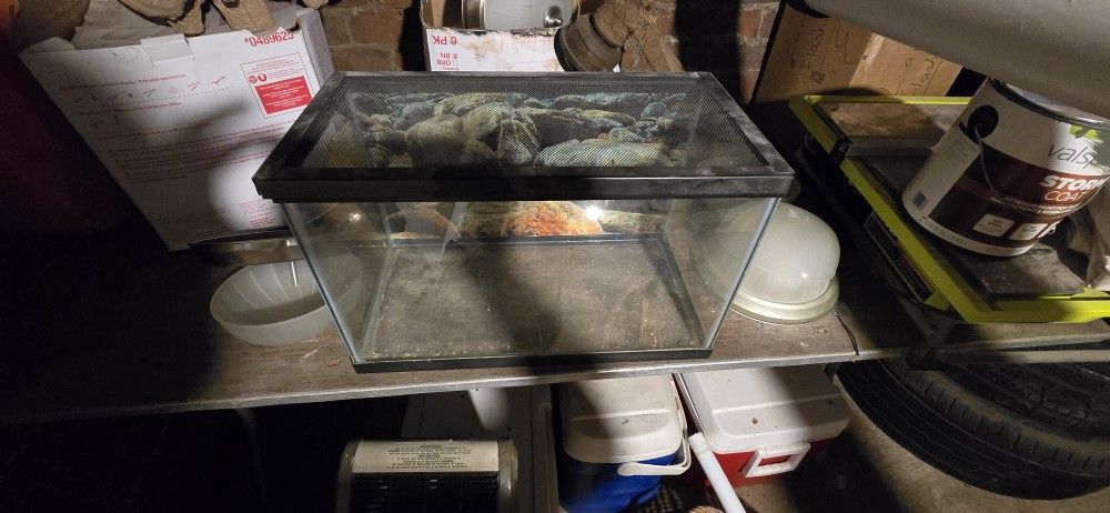 10 Gallon