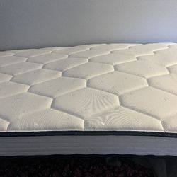 Two Twin Sized Beds W/ Mattress 