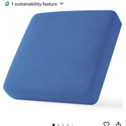 Couch Cushion 