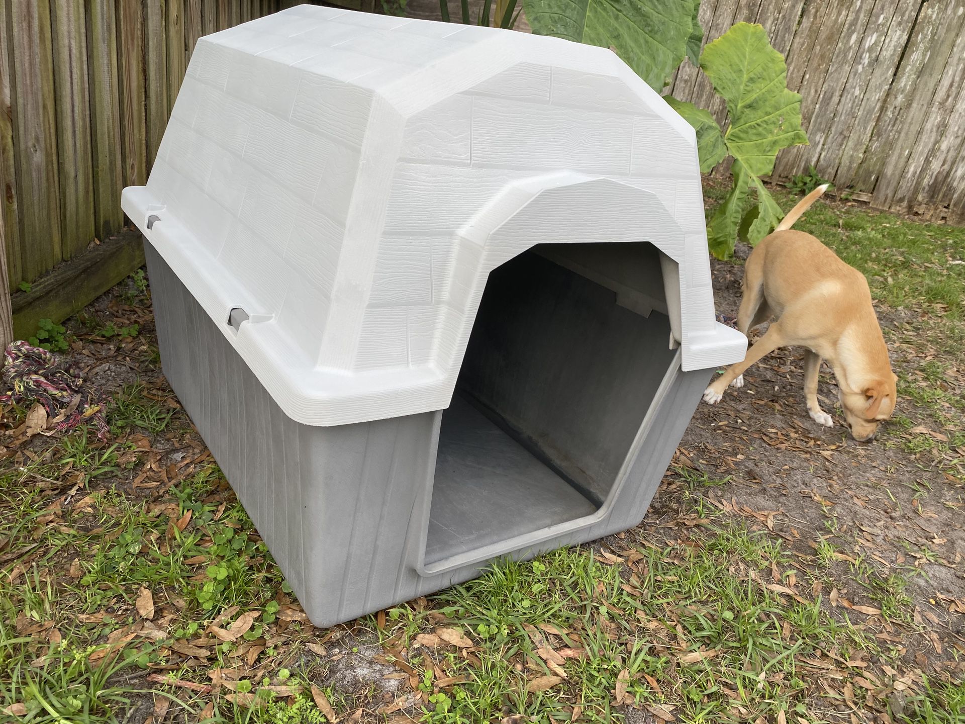 Large Size Dog House - Like New