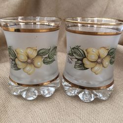Vintage Drinking Glasses Set of 2