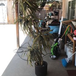 Artificitial Tree