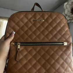 Aldo Leather Bag 