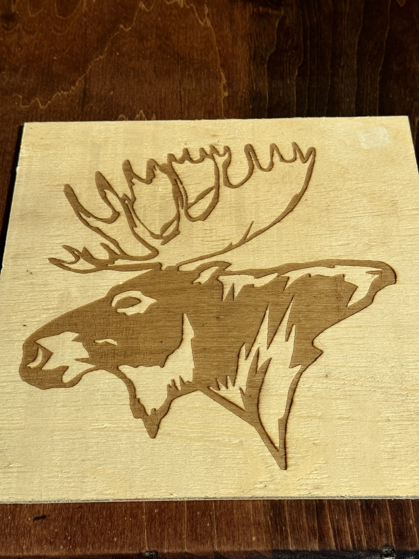 Moose Sign 