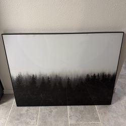 Black And White Picture 