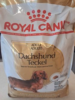 DOG Food