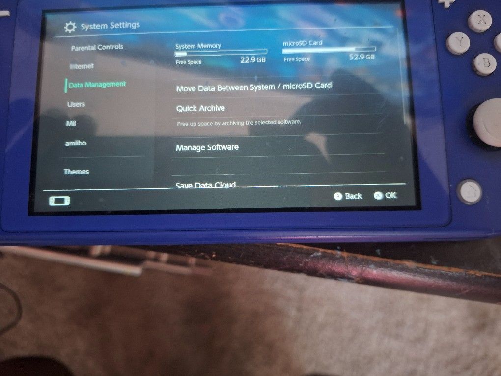 Nintendo Switch Life With 258 GB SD Card