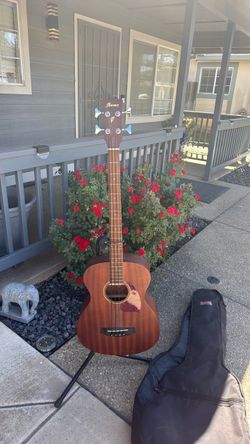 Electric acoustic bass guitar