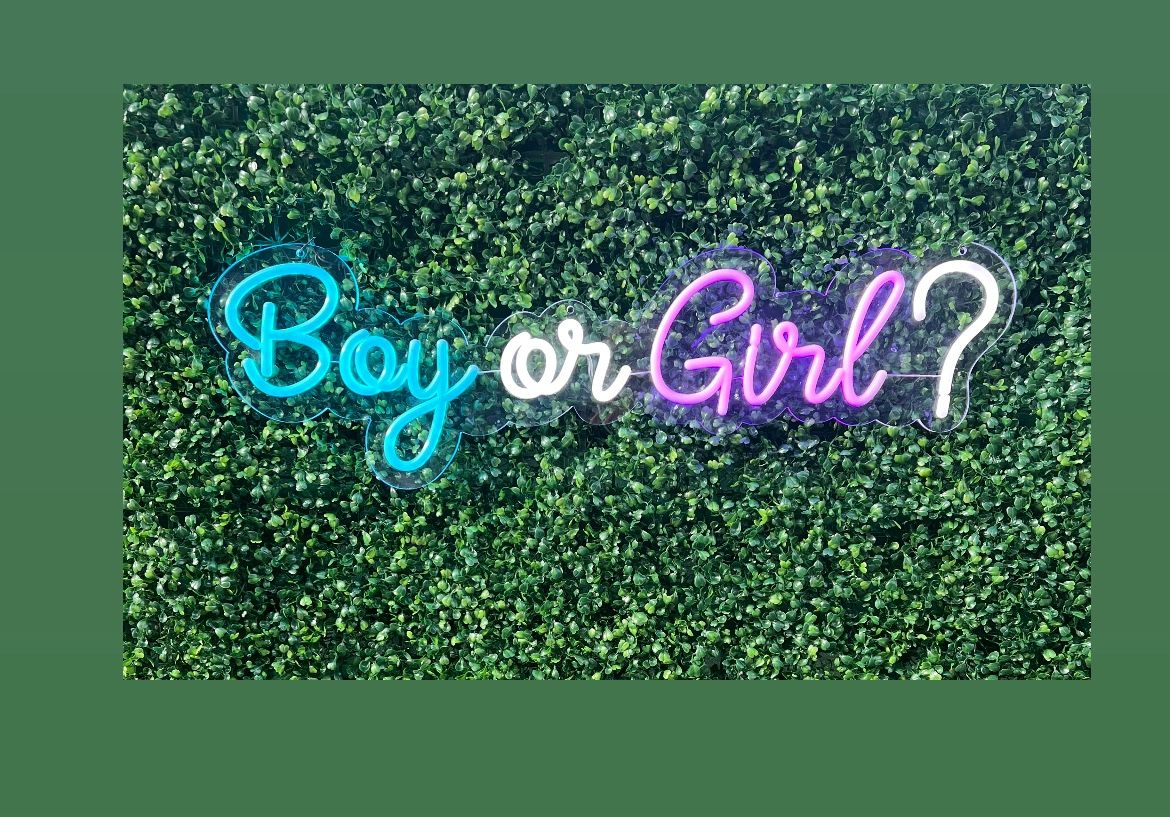 Boy Or Girl Neon Sign