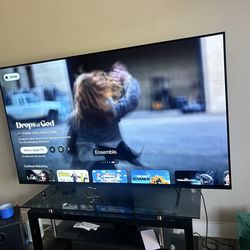 Sony Bravia 77 inch tv