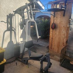 Workout Equipment &  Weights 