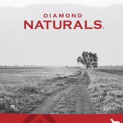 Diamond Naturals Dog Food - 40lb
