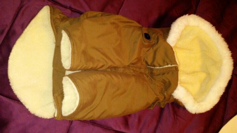 Dog coat