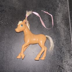 cute baby horse