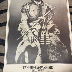 Vintage Native American Poster