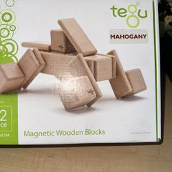 Tegu Magnetic Wooden Blocks. 