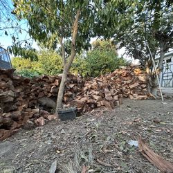 Oak Firewood For Sale Hmuu🪵📲📲