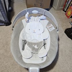 Ingenuity Baby Bouncer
