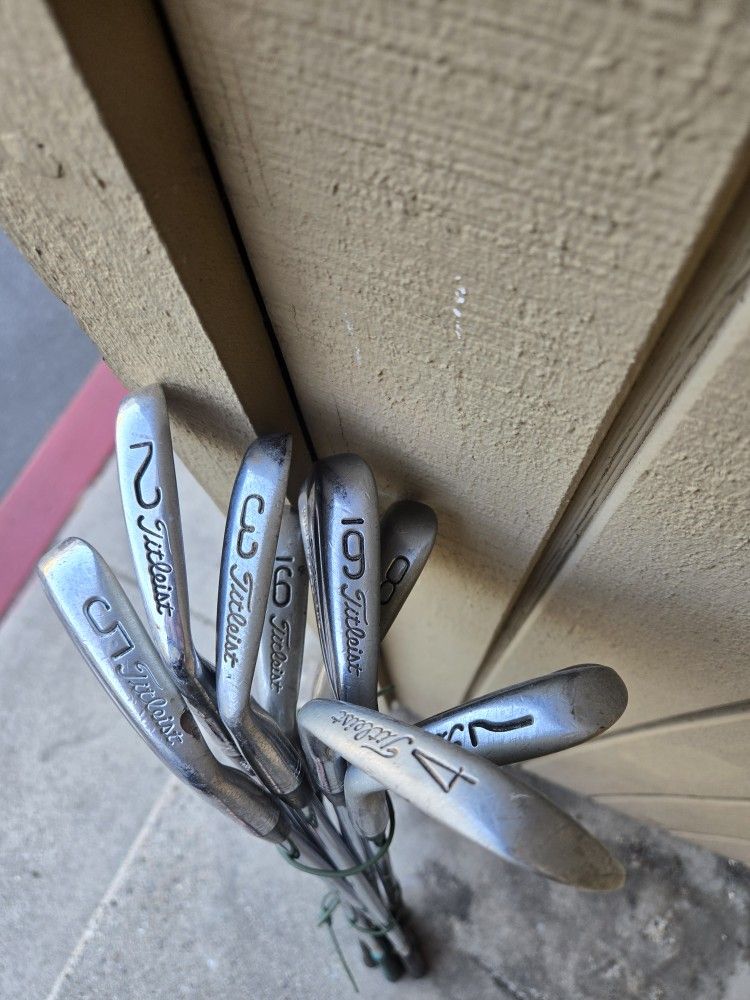 Titleist 2-9 Iron Vintage Tour Model S300 Shafts