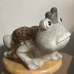 Garden Frog