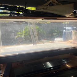 100 Gallon Clear Back Acrylic Aquarium 