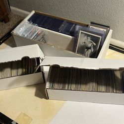 Sports  Card Collection