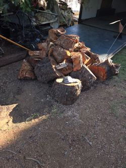 Free firewood
