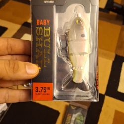 Fishing Bait