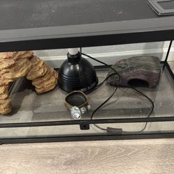 40 gallon Tank 