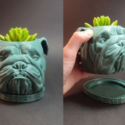 Flower Pot/ Decorative Container - Bulldog ( 3d Printed) 