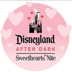 Disney Sweetheart  Nite AFTER DARK