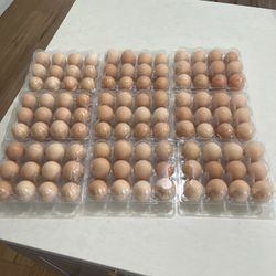 Organic Pastor Raised Eggs