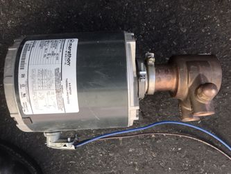 Multiplex water pump Motor 3/4 hp with pump