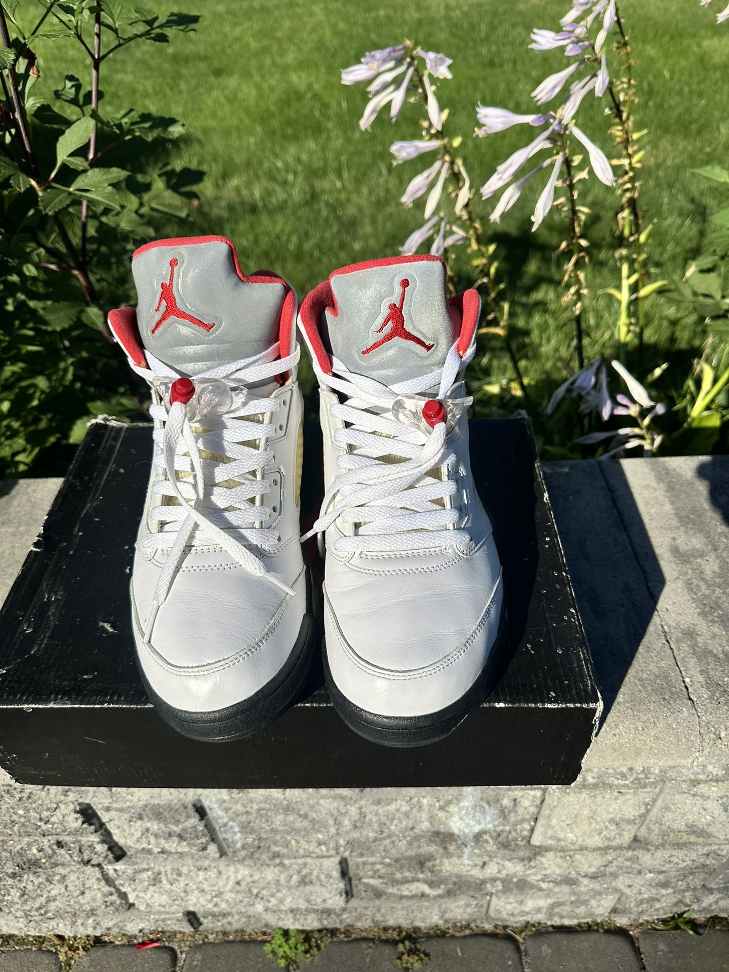 Jordan 5