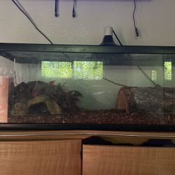 tank