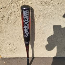Baseball Bat 34