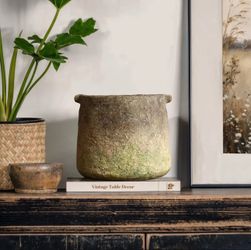 Ginger root brown Cement Vase cylindrical short Vase ,D2199-