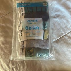 Brand  New briefs (2pairs)