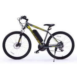 Viribus Electric Mountain bike Gray 