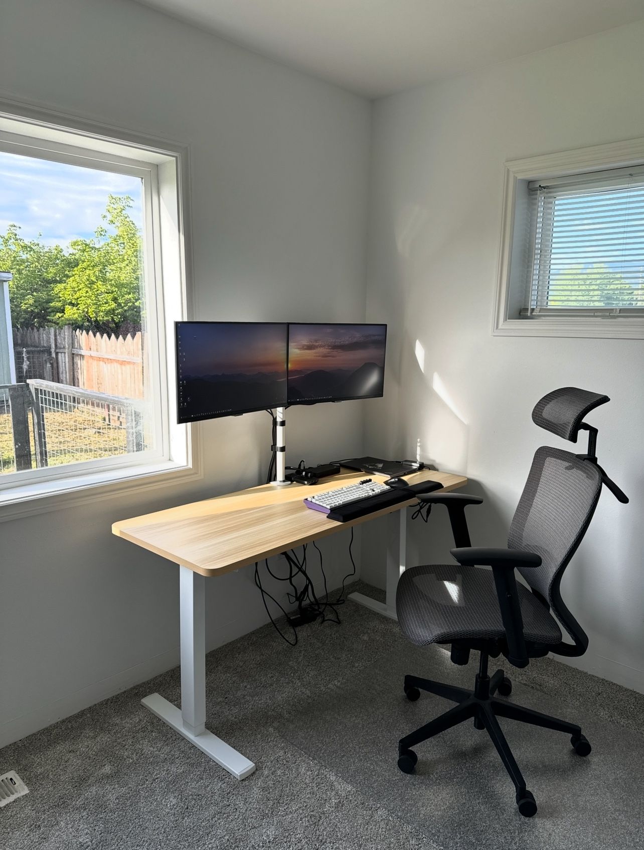 60x24 inch Bamboo desk top (or table top)