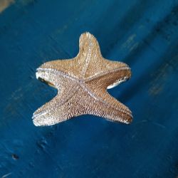 Lily Pulitzer Starfish Bracelet 