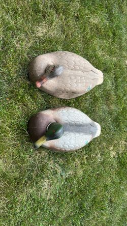 Vintage Mallard Duck Decoys