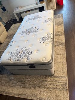 Twin Pillow Top Mattress with Box Spring