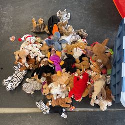 Beanie Baby Collectibles 