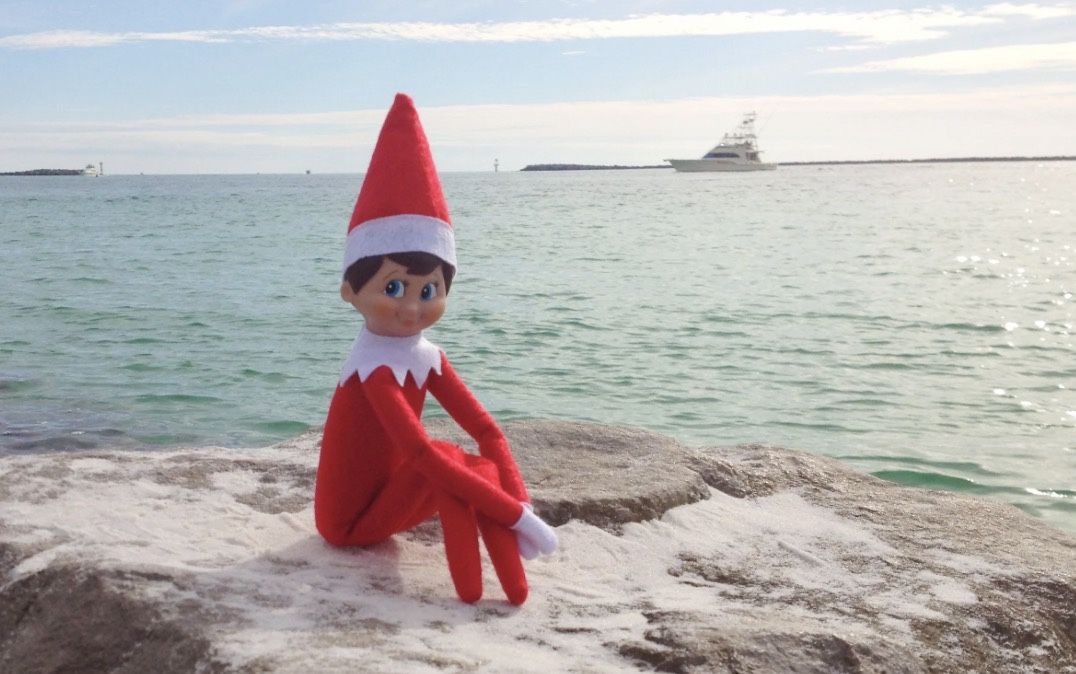 The Elf On The Shelf Plushie Pal Blue Eyed Boy For Christmas New