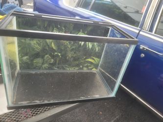 Small tank