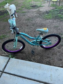 Girls Bike Like New Needs Seat
