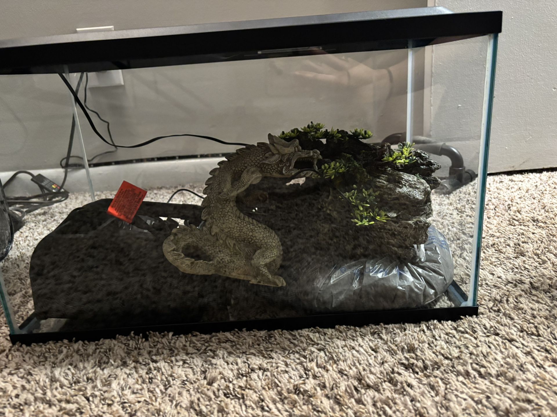 10 Gallon Fish Tank
