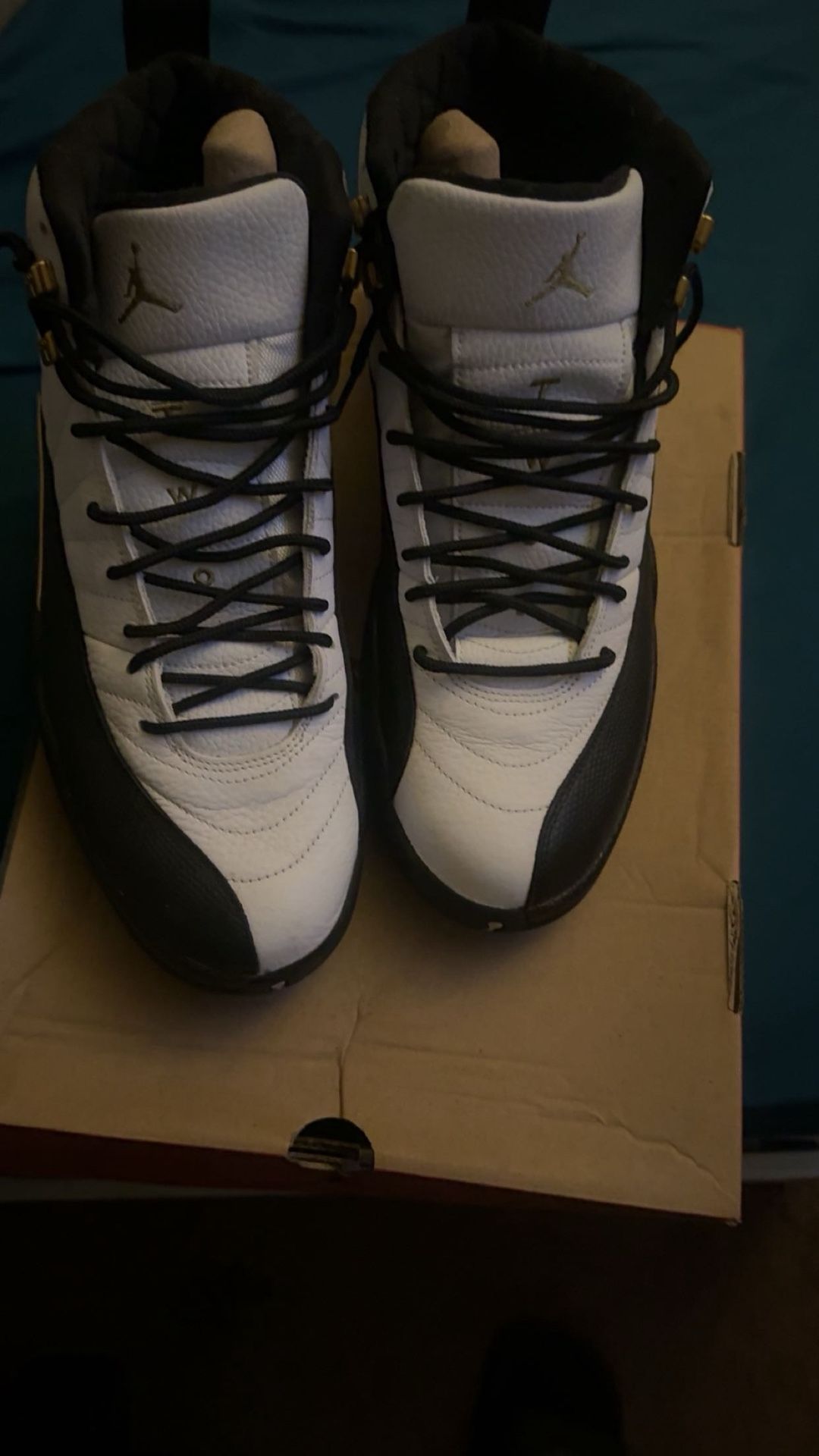 Black And White Jordan 12