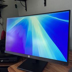 HP 24” Computer Monitor